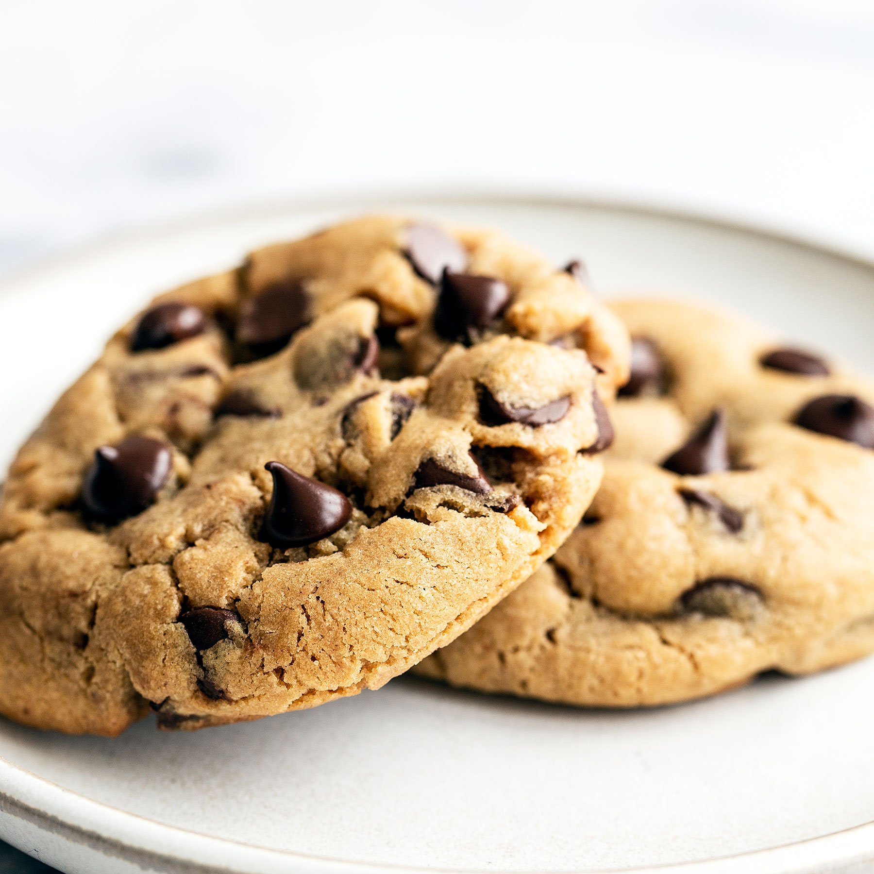 two peanut butter chocolate chip cookies on a white plate.
