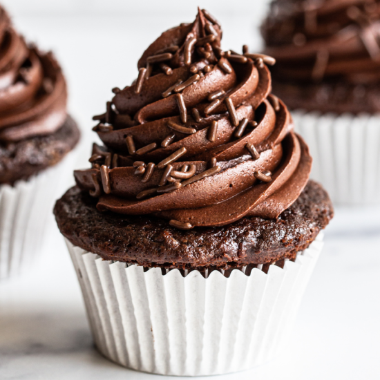 moist chocolate cupcake with chocolate frosting and chocolate sprinkles